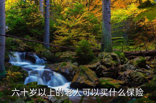 六十歲以上的老人可以買什么保險