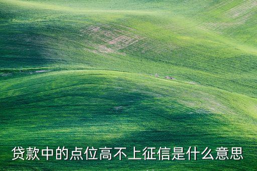 貸款中的點位高不上征信是什么意思
