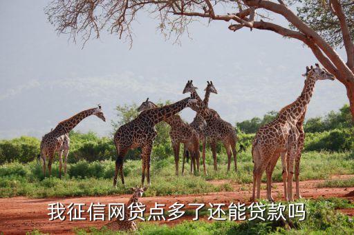 我征信網(wǎng)貸點多了還能貸款嗎