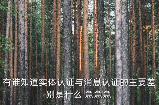 有誰知道實(shí)體認(rèn)證與消息認(rèn)證的主要差別是什么 急急急