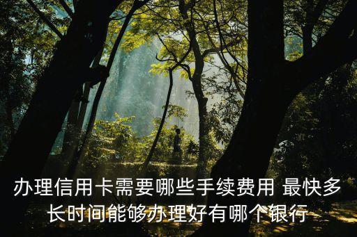 辦理信用卡需要哪些手續(xù)費(fèi)用 最快多長時間能夠辦理好有哪個銀行