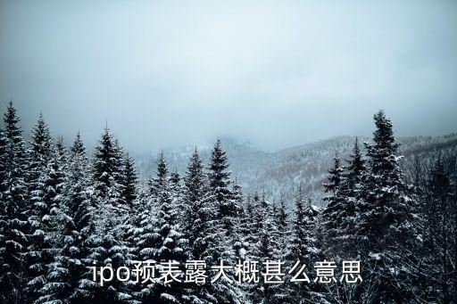 ipo預(yù)披露什么意思，ipo企業(yè)預(yù)表露是甚么意思