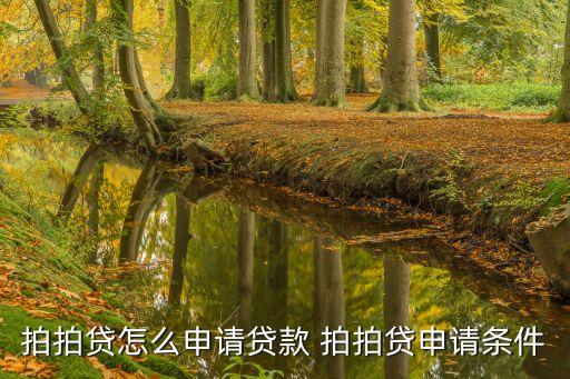 拍拍貸怎么申請(qǐng)貸款 拍拍貸申請(qǐng)條件