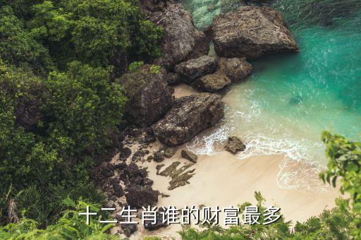 十二生肖誰的財富最多