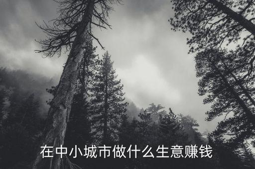 在中小城市做什么生意賺錢