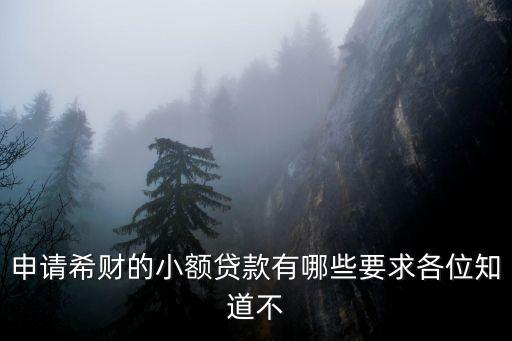 申請希財(cái)?shù)男☆~貸款有哪些要求各位知道不
