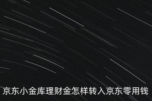 京東小金庫(kù)理財(cái)金怎樣轉(zhuǎn)入京東零用錢(qián)