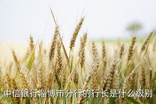中信銀行淄博市分行的行長(zhǎng)是什么級(jí)別