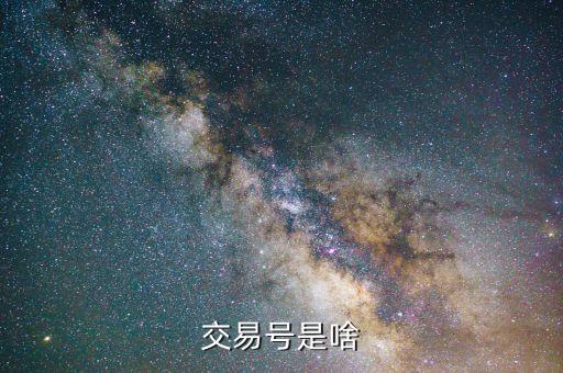 交易號(hào)是啥