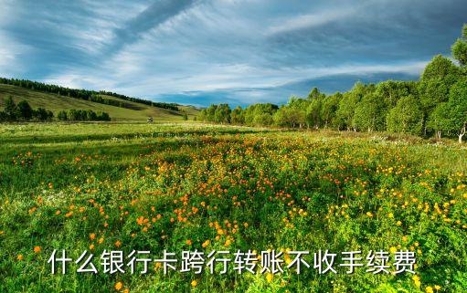 什么銀行卡跨行轉(zhuǎn)賬不收手續(xù)費(fèi)
