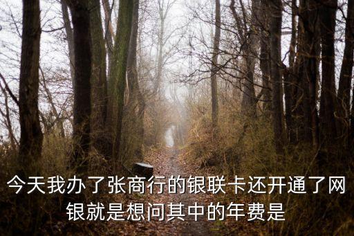 今天我辦了張商行的銀聯(lián)卡還開通了網(wǎng)銀就是想問其中的年費是