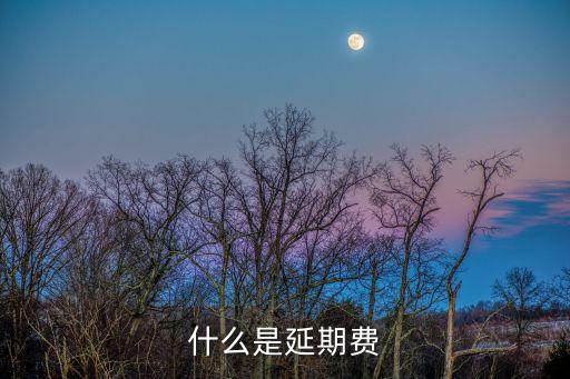 什么是延期費