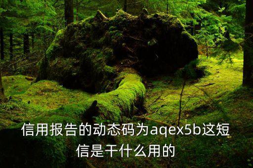 個人征信短信號是什么意思，信用報告的動態(tài)碼為aqex5b這短信是干什么用的
