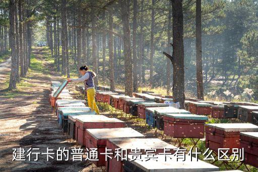 建行普卡是什么樣子的，普通工商信用卡什么樣