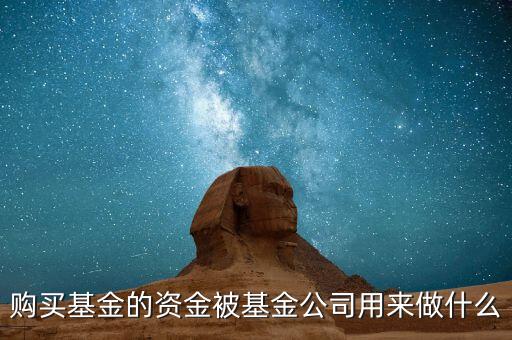 購買基金的資金被基金公司用來做什么