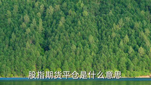 股指期貨的平倉是什么意思，什么叫平倉