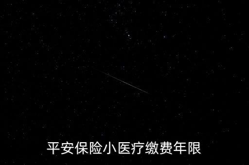 平安保險(xiǎn)小醫(yī)療繳費(fèi)年限