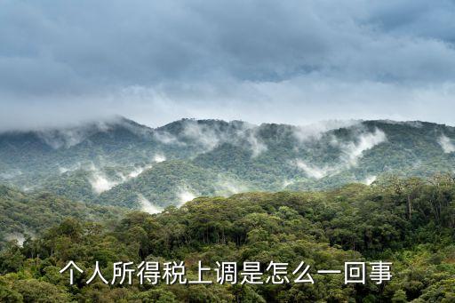 個稅調(diào)整是什么意思，個稅調(diào)至3000或者4000 5000是什么意思