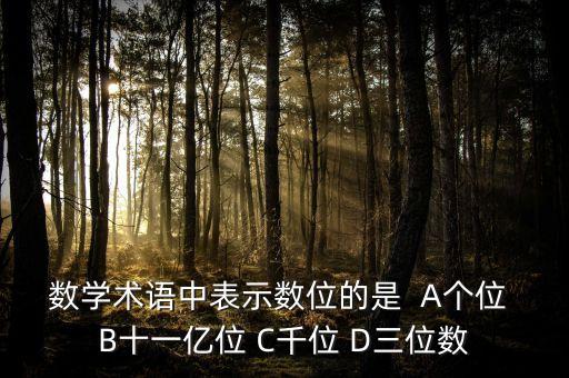 幾位數(shù)用什么表示，數(shù)學術語中表示數(shù)位的是  A個位 B十一億位 C千位 D三位數(shù)
