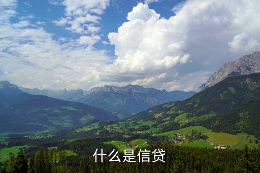 信貸食品貸款是指什么意思，信貸是什么意思