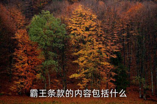 霸王條款的內(nèi)容包括什么