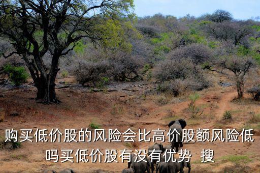 購(gòu)買(mǎi)低價(jià)股的風(fēng)險(xiǎn)會(huì)比高價(jià)股額風(fēng)險(xiǎn)低嗎買(mǎi)低價(jià)股有沒(méi)有優(yōu)勢(shì)  搜