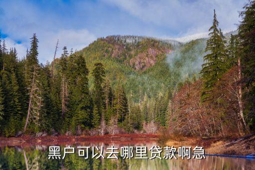 黑戶可以做什么網(wǎng)貸，黑戶可以去哪里貸款啊急