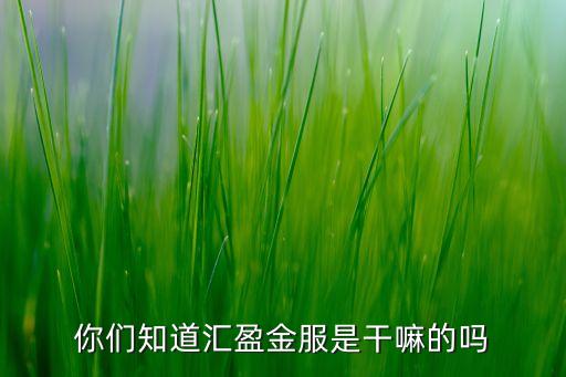 匯融金服是干什么的，你們知道匯盈金服是干嘛的嗎