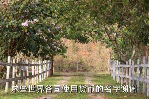世界各地的錢(qián)叫什么，世界各國(guó)貨幣名稱(chēng)