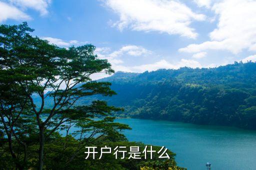 開戶行是什么