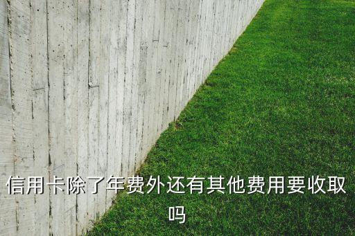 信用卡除了年費(fèi)外還有其他費(fèi)用要收取嗎