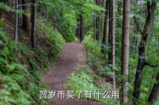 賀歲幣買了有什么用