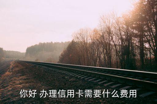 辦信用卡都需要什么手續(xù)費嗎，你好 辦理信用卡需要什么費用