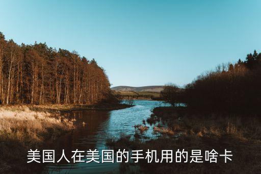 美國(guó)人在美國(guó)的手機(jī)用的是啥卡