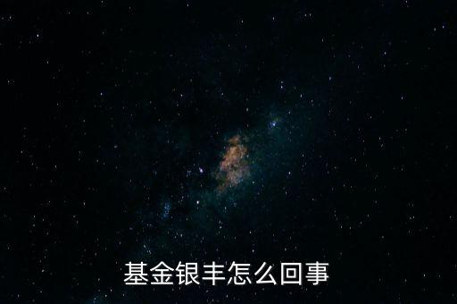 銀豐基金變什么基金，基金銀豐怎么回事