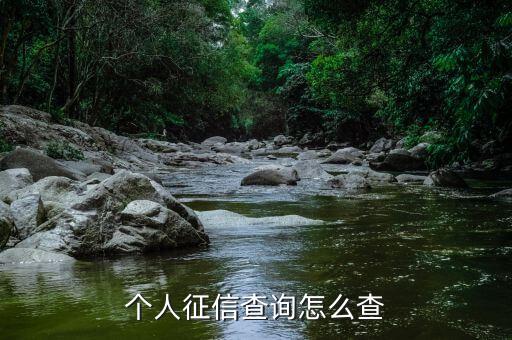 個人征信查詢怎么查