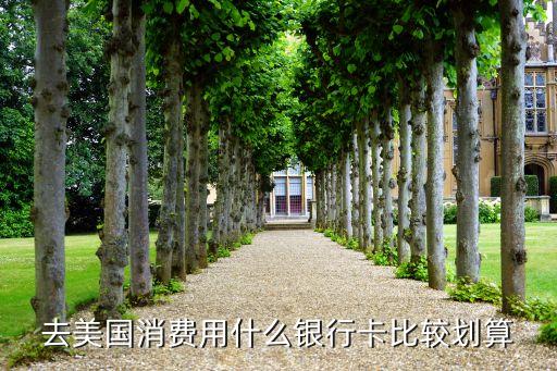 去美國(guó)消費(fèi)用什么銀行卡比較劃算