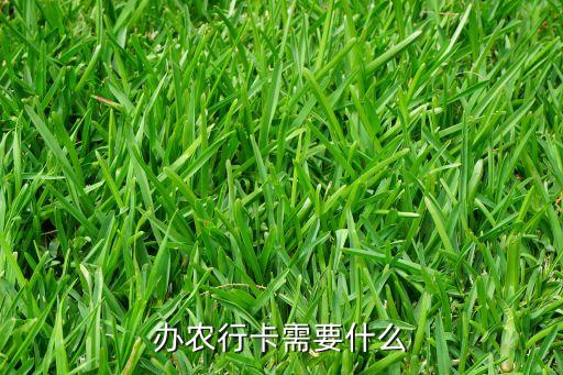 辦農(nóng)行卡需要什么