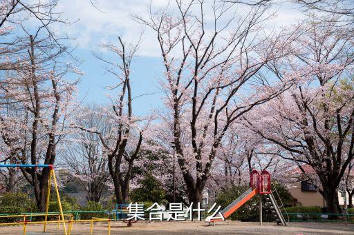 集合是什么