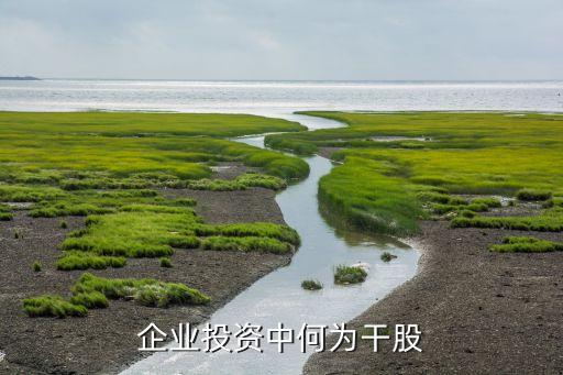 公司干股是什么意思，企業(yè)投資中何為干股