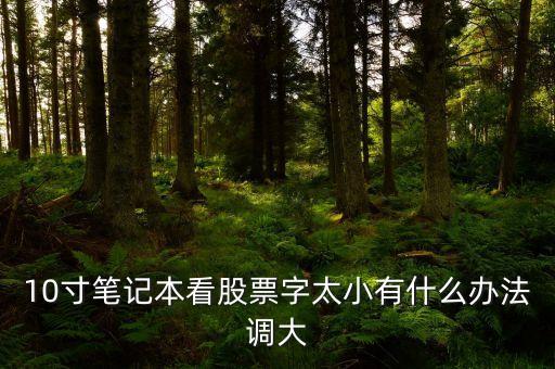 招商證券是什么字體，10寸筆記本看股票字太小有什么辦法調(diào)大