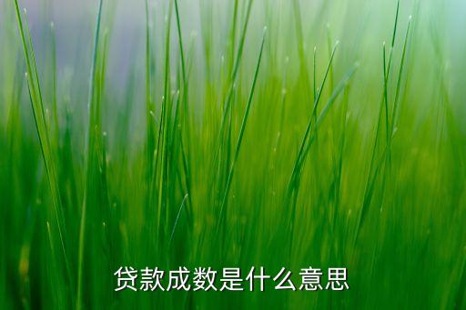 貸款成數(shù)是什么意思