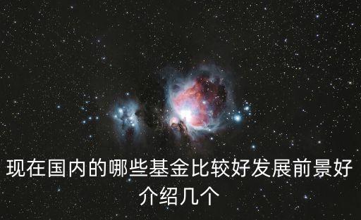 現在國內的哪些基金比較好發(fā)展前景好介紹幾個