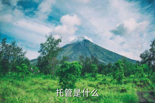 什么是券商托管，托管是什么