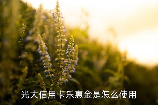 樂惠金為什么不上征信，光大銀行樂惠金信用卡欠十五萬還不上怎么辦可以協(xié)商嗎