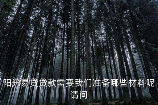 陽(yáng)光易貸貸款需要我們準(zhǔn)備哪些材料呢請(qǐng)問(wèn)