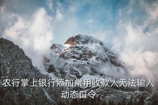 農(nóng)行掌上銀行添加常用收款人無法輸入動(dòng)態(tài)口令
