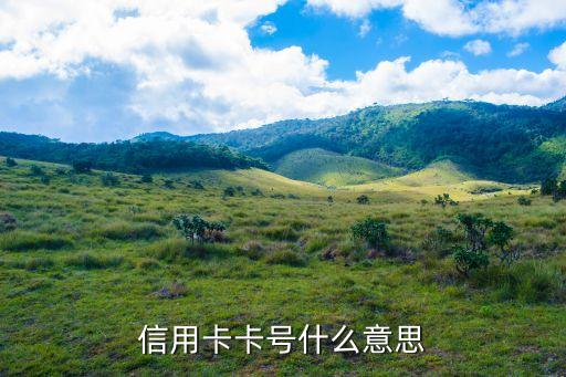 信用卡號(hào)什么，信用卡卡號(hào)什么意思