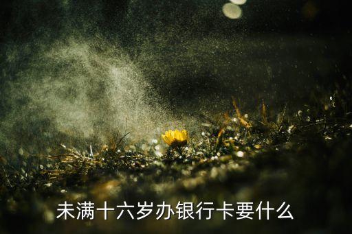 未滿十六歲辦銀行卡要什么