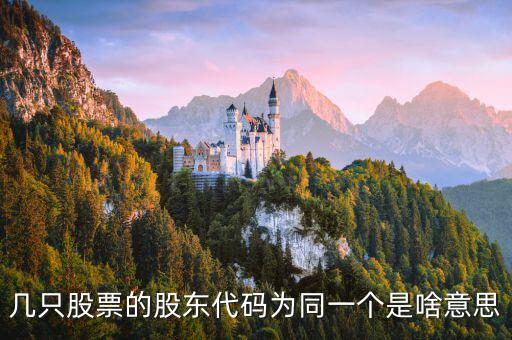 幾只股票的股東代碼為同一個是啥意思